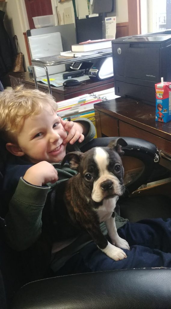 Home Columbia Veterinary Hospital